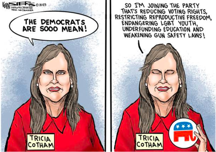 ProChoice_NC's tweet photo. #ResignTricia #CothamResign #NCGA #ncpol https://t.co/tlLySV2kHE