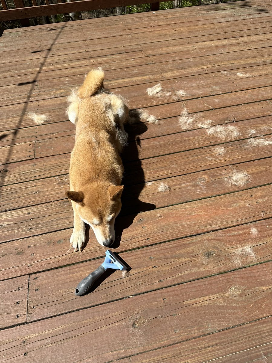 Jordan McKee tweet media