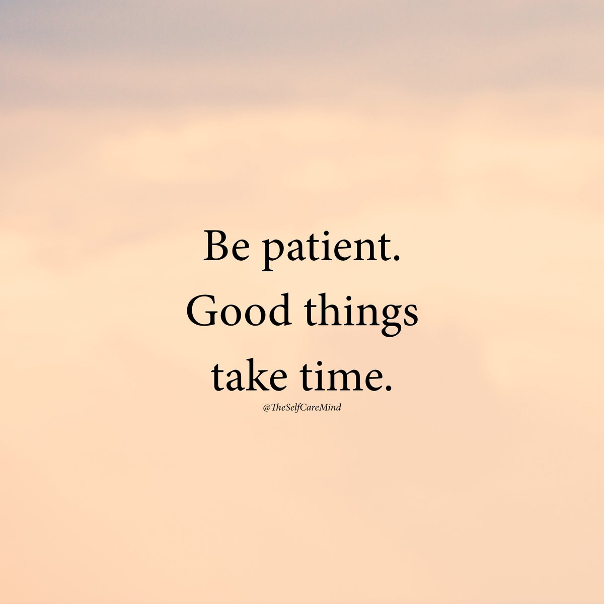 theselfcaremind's tweet image. Be patient