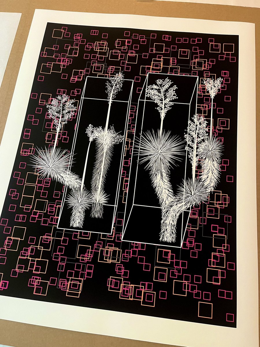 DaCaldera's tweet photo. New Marfa Yucca print, who dis? 😎
#acrossthepond #outofband #specialorder @artblocks_io https://t.co/mKOuZMiIIX