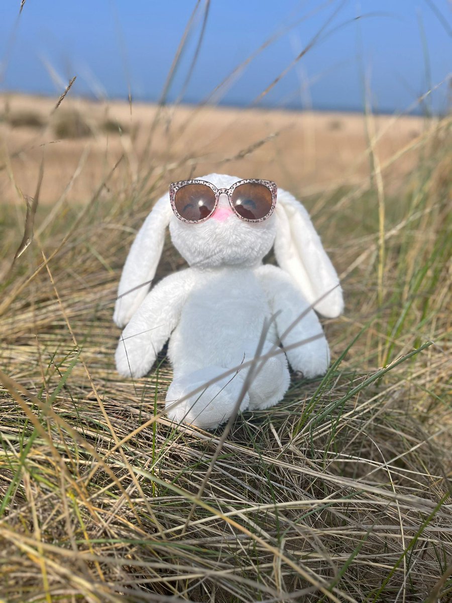 SytnerMINI's tweet image. We hope you’ve enjoyed keeping up with Ginny this weekend! She’s enjoying her well earned trip to the beach after delivering her Easter eggs this weekend!

#wheresginny #ginnyinthemini #sytnermini #miniuk #minirange