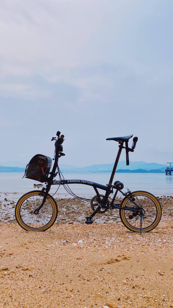 Scription tweet media