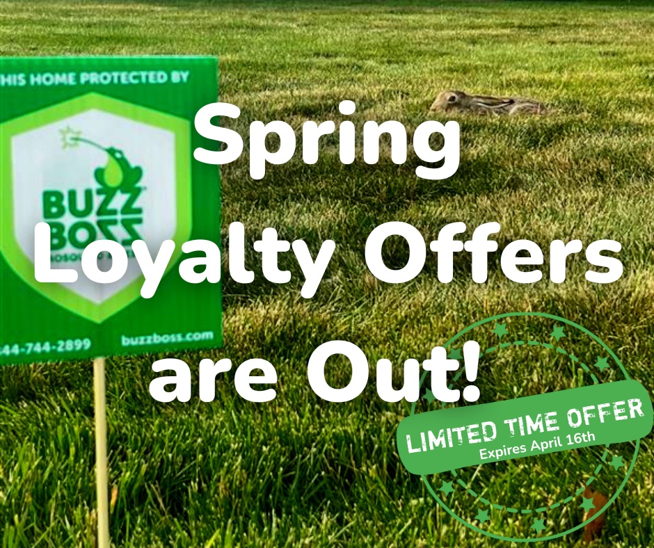 realbuzzboss's tweet photo. Buzz Boss #Subscribers! ๐ฃ
Our Spring #LoyaltyOffers are out and in your inbox! ๐ง If you have not received an email, please DM us, and we will get you your special offer today! ๐ทโ๏ธ
#BuzzBoss #PestFree #ShowThemWhosBoss #BiteBackWithBuzzBoss #BuzzBossKnows https://t.co/i9Wi3leu2P