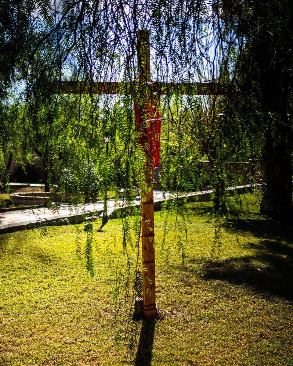 josemiSDB's tweet image. ¿Por qué buscáis entre los muertos al que vivo está?