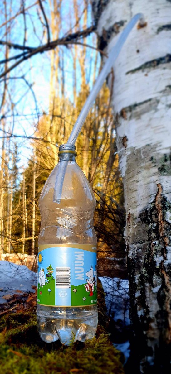 Heli Koponen tweet media