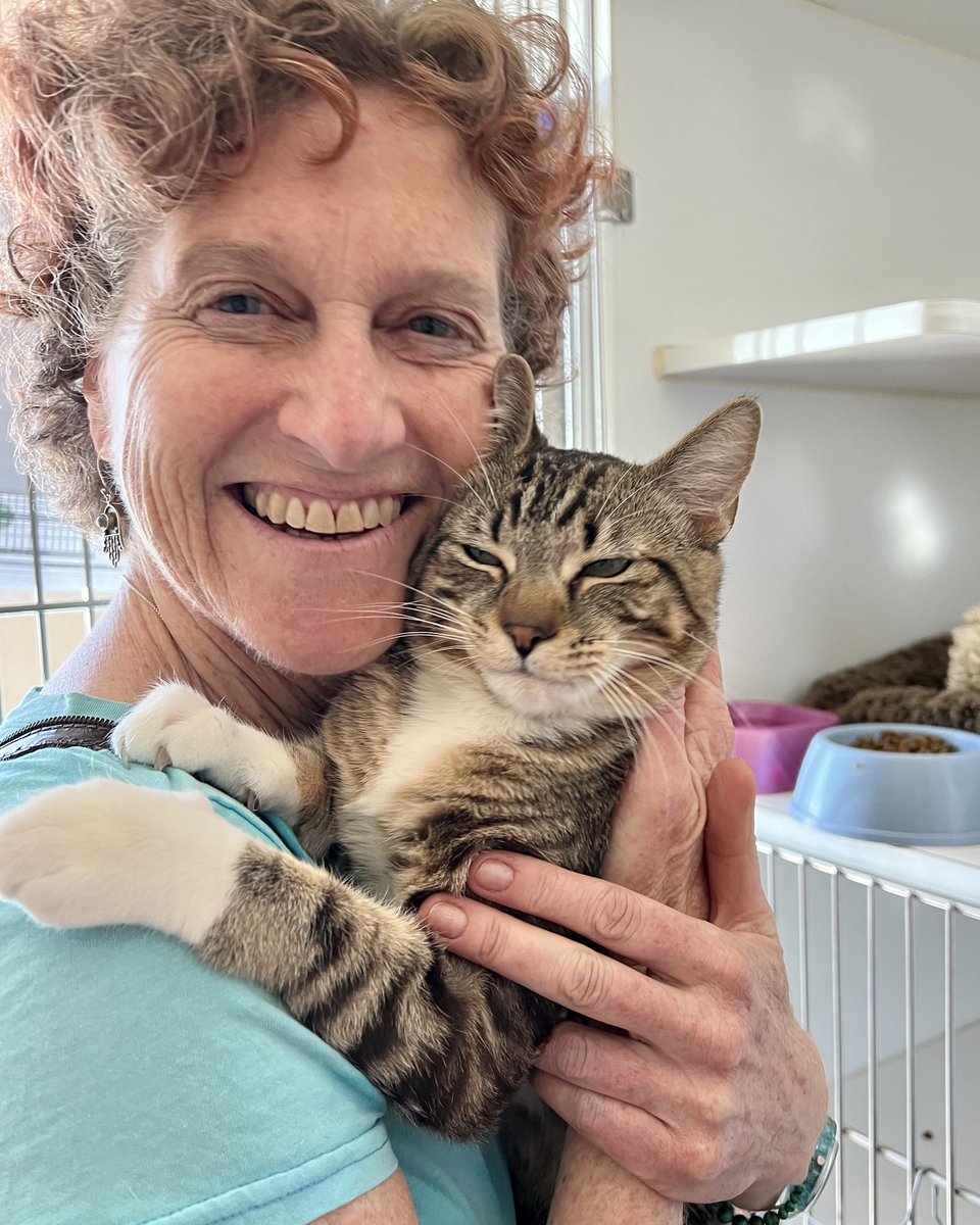 @fayepou Tiger/Taz was adopted yesterday! Here he is with his new mom.