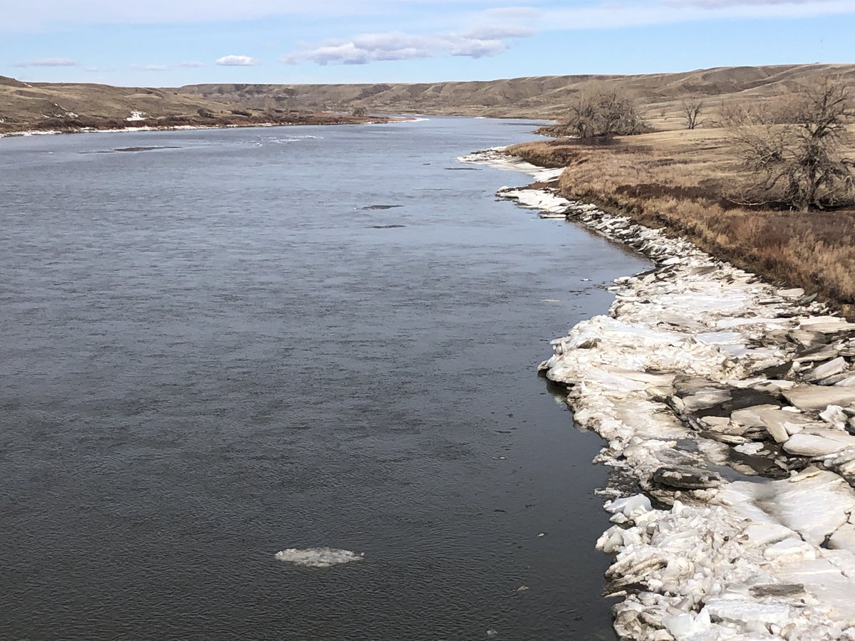 SpecialtySeeds's tweet image. South SK River broke up yesterday. 21 days later than last year. #latespring