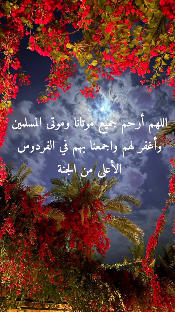 نسرين نصر الدين إكرامي🤍🕊️ (@nekramy) on Twitter photo 