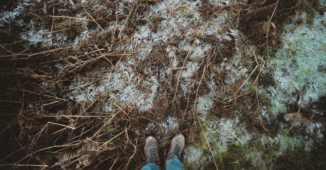 PequeaMachine's tweet image. Don't let frost ruin your crops! Follow these 6 tips and tricks to protect them from the cold weather 🌱

Click here &amp;gt; vist.ly/43xz

#Farming #FrostProtection #FarmLife #Pequea