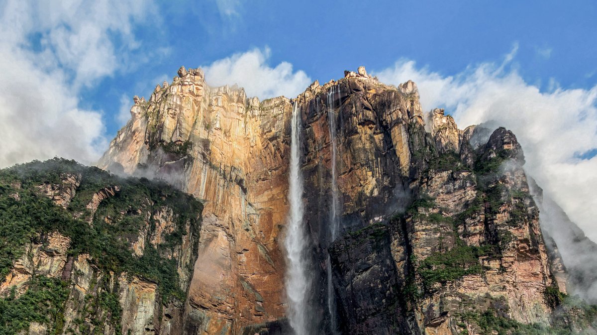 Ministerio de Comunicación e Información tweet media