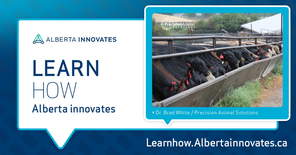 Dr. Brad White has developed the REDI system, which remotely identifies bovine respiratory disease. This disease is one of the largest health challenges affecting calves, so accurate diagnosis is crucial for animal welfare.

Learn how Alberta innovates: learnhow.philespace.com/vignette/0023-…