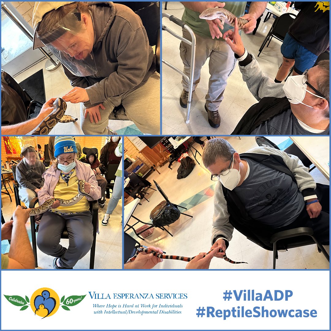 VESPasadena's tweet photo. Villa’s Adult Day Program had the opportunity to meet a multitude of reptiles during a personal Reptile Showcase thanks to a generous grant from the Thornton S. Glide, Jr. and Katrina D. Glide Foundation. Thank you for the amazing fun! #VillaADP #ReptileShowcase https://t.co/RlADySmg5O
