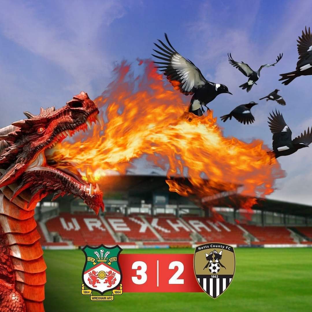 aliwil1218's tweet photo. @NottsCountyZone This aged well 🤣 https://t.co/G53mB5ZRwy