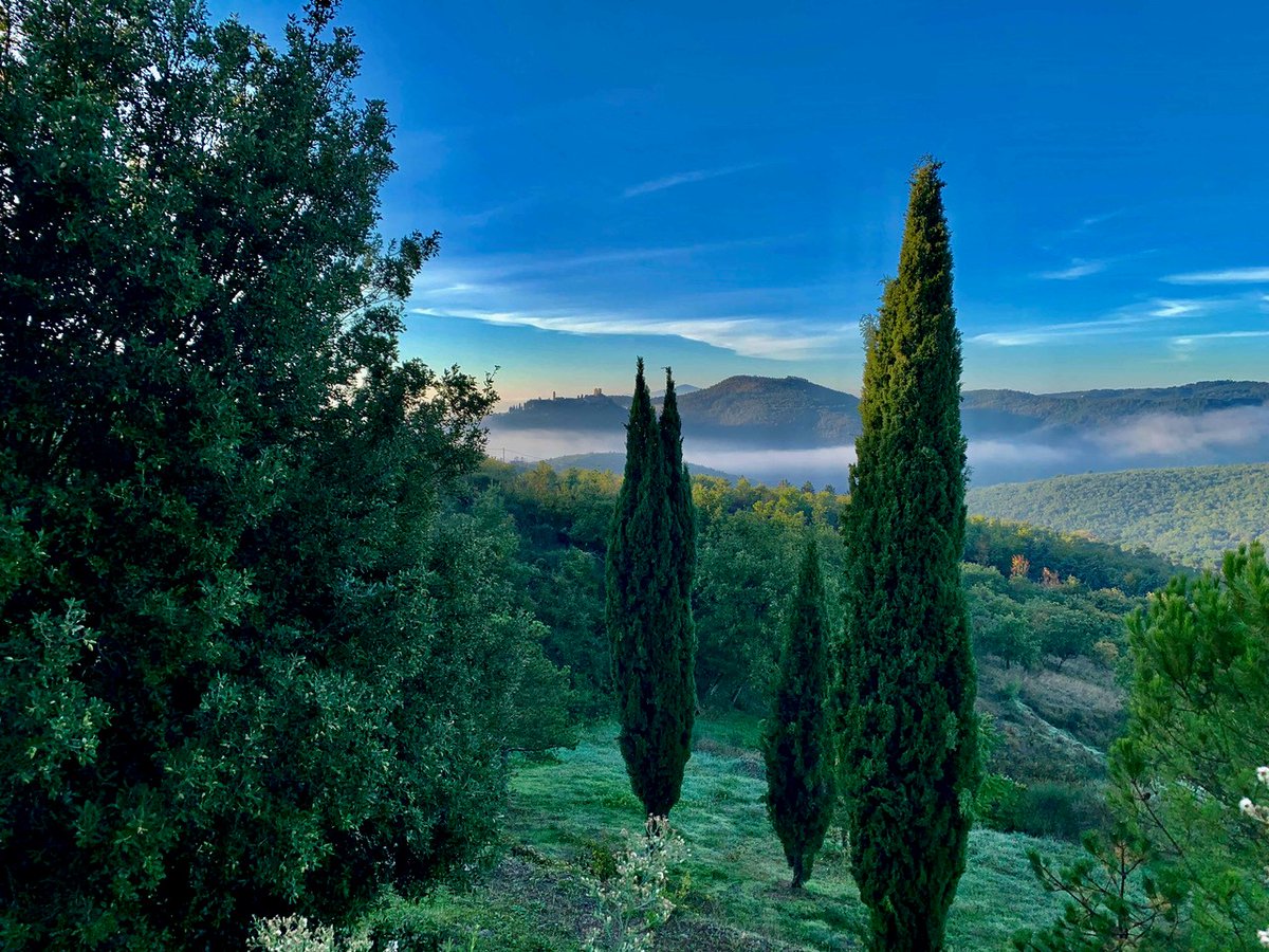 Essential Italy tweet media