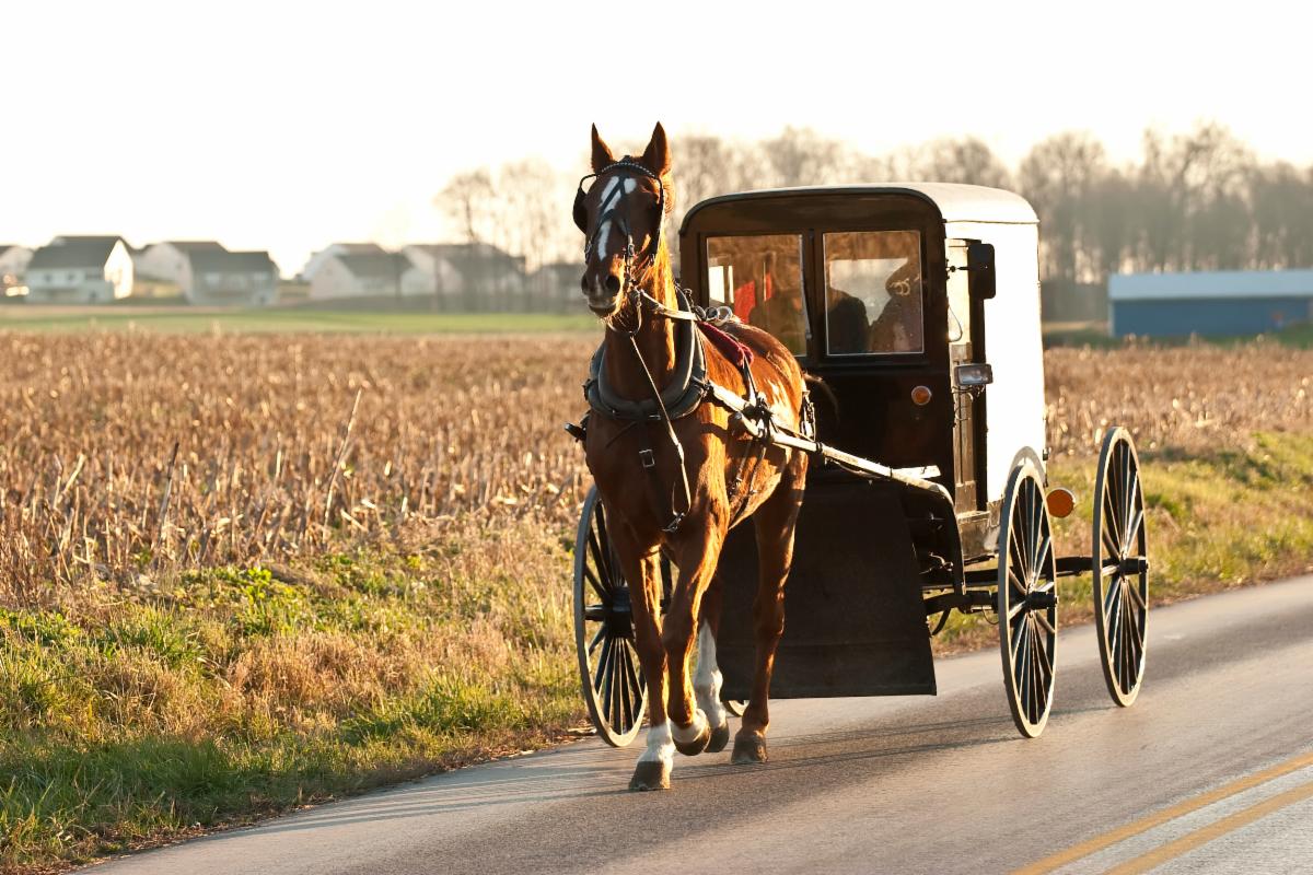 Kansas Healthcare Collaborative tweet media