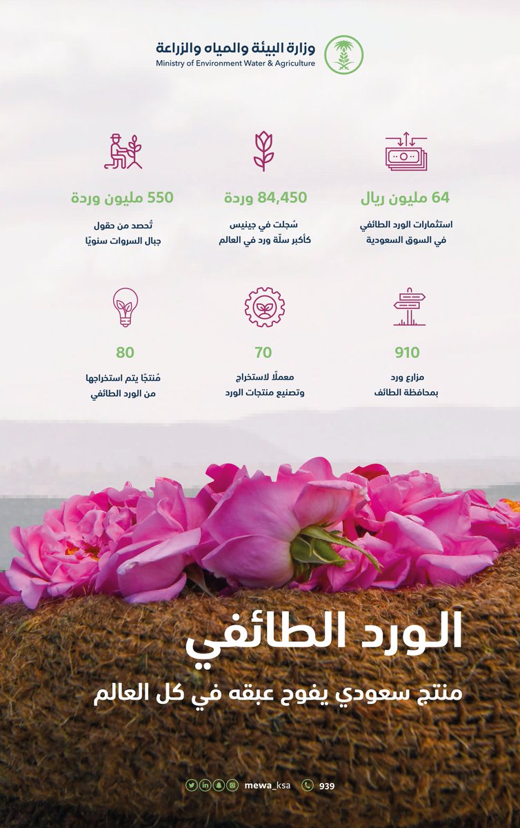 "البيئة": 64 مليون ريال حجم استثمارات الورد الطائفي في السوق السعودية.
spa.gov.sa/w1886777
#واس_اقتصادي