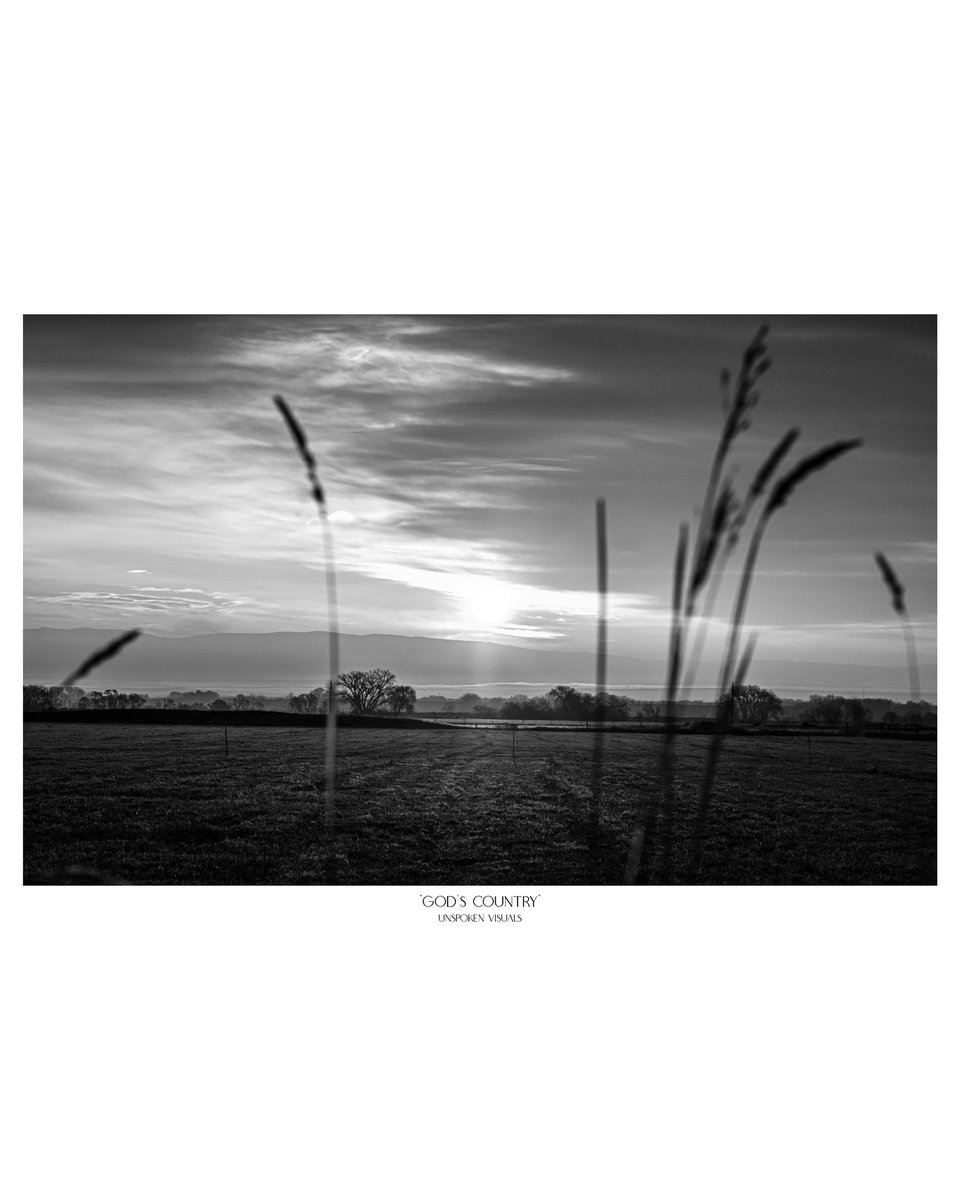 God’s Country
-
instagram.com/unspoken__visu…
-
#ranching #west #wyoming #farmlife #ranchlife #cowboy #bnw #bnwphotography #landscapephotography #wyomingphotographer #photography #blackandwhitephotography #openland #natgeoyourshot #discovery #ranchinglifestyle #westernlifestyle