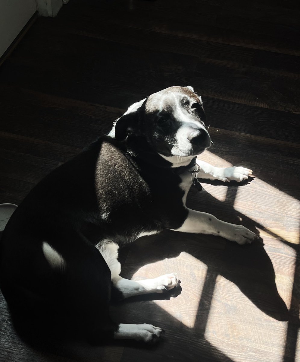 Lex ⋆｡°✩ tweet media