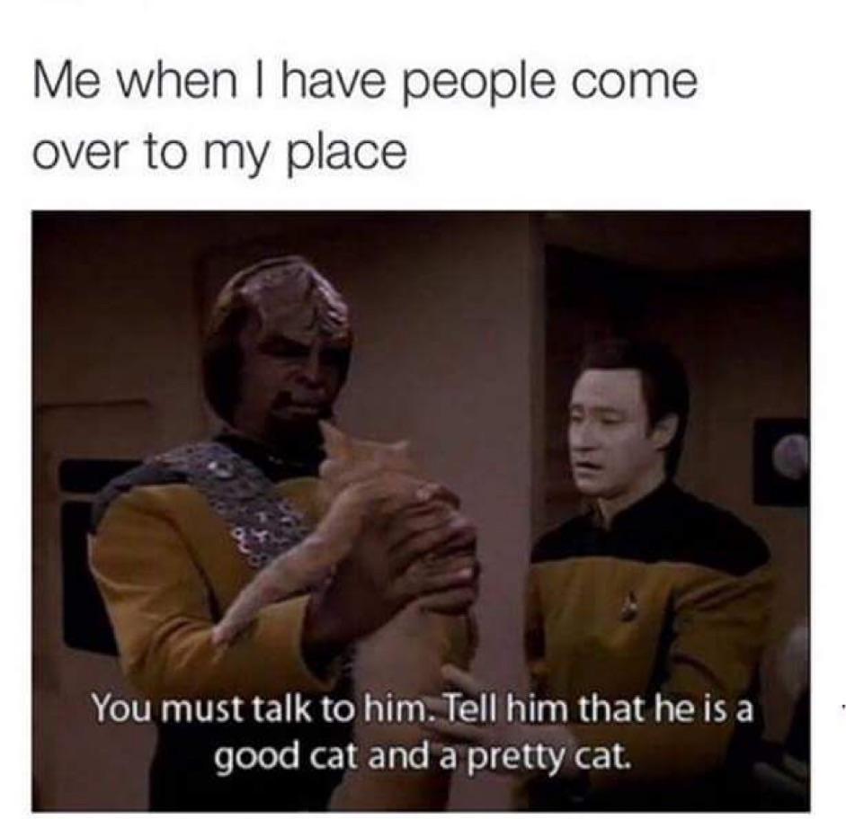 WholesomeMemes tweet media