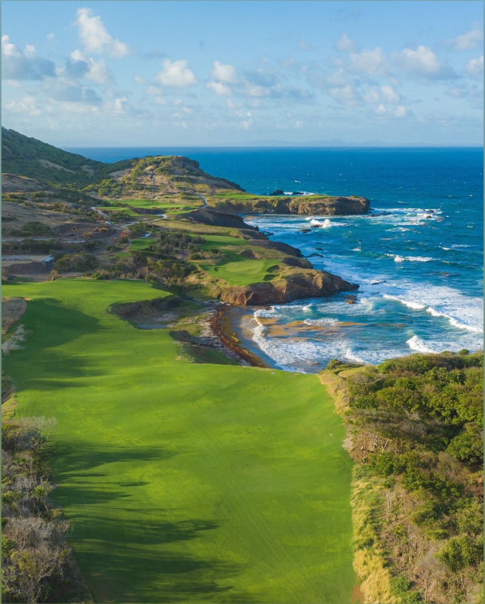 Landon Hall tweet media