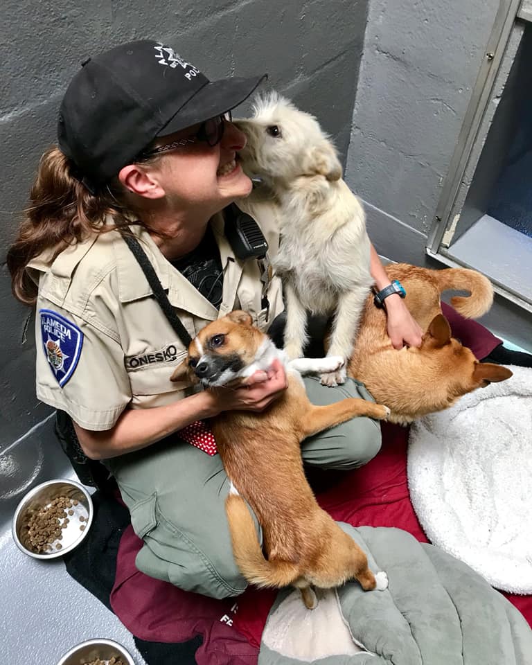 AlamedaPD on Twitter "Happy National Animal Control Officer