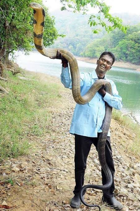 Big Snake.....   
#Snake #Snakelover