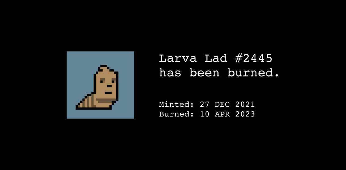 burncomputer.eth tweet media