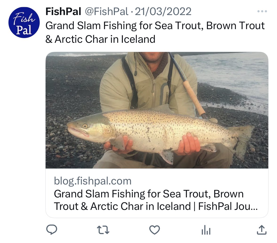 James Stokoe Fishing tweet media