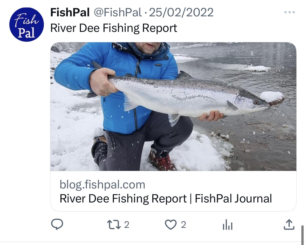 James Stokoe Fishing tweet media