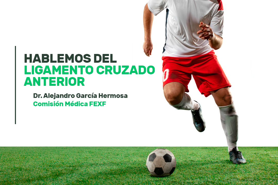 ⚽⚕️ | Fútbol saludable |

🏥La COMISIÓN MÉDICA de <a href="/FedExFutbol/">Fexfutbol</a> publica un nuevo artículo divulgativo sobre Medicina Deportiva.

📰'Hablemos del Ligamento Cruzado Anterior', por el Dr. Alejandro García Hermosa.

🔗Accede aquí 👉ow.ly/Hm3c50NF8gs