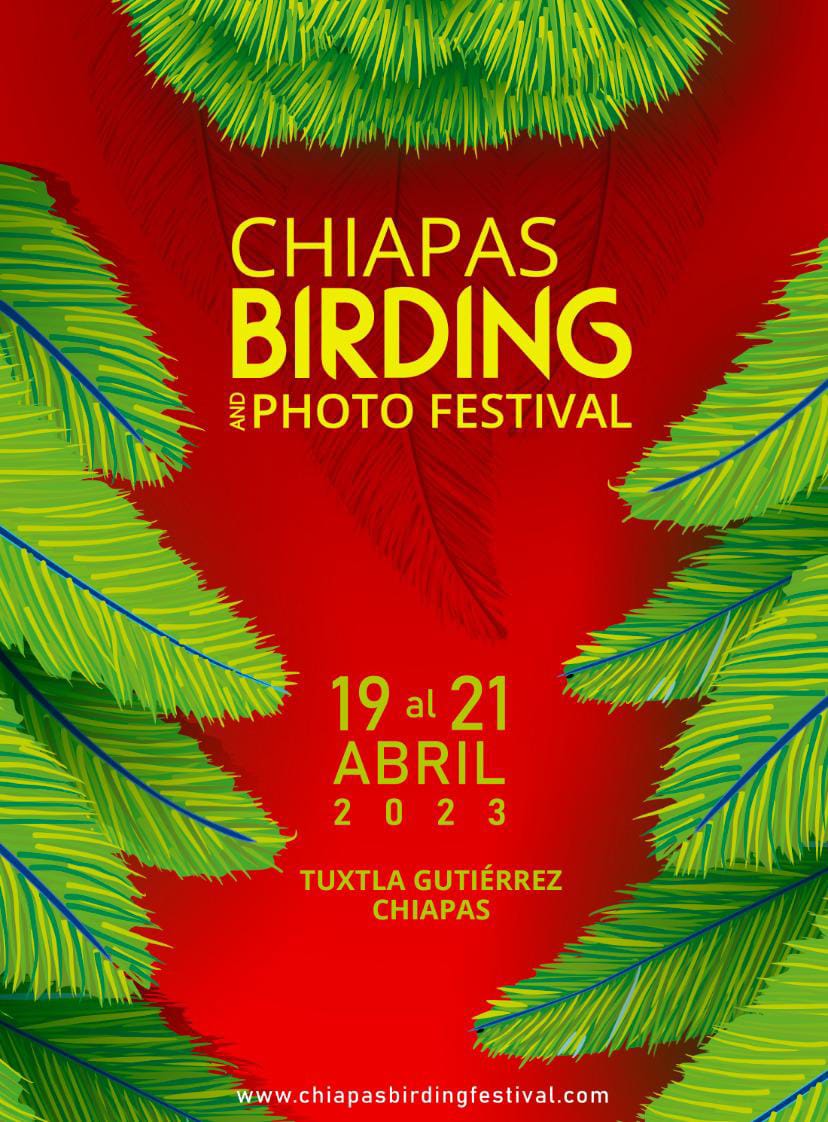Del 19 al 21 de abril de 2023 🗓️ se llevará a cabo "Chiapas Birding and Photo Festival" 🪹 ,  que contará con conferencias, exposiciones y actividades al aire libre.  Conoce más 🦜 bit.ly/3EiGDg7  Sede: Tuxtla Gutiérrez, Chiapas #MeEncantasChiapas