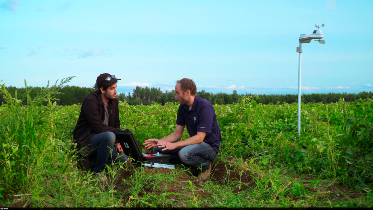 Seed World Canada tweet media