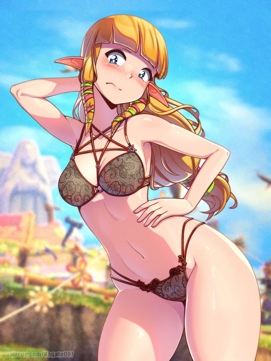Do you like that one, Link? Zelda in Lingerie for you all