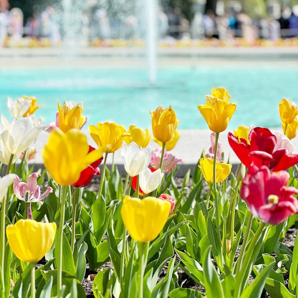 Spring instagr.am/p/Cq3G0m6L2q1/