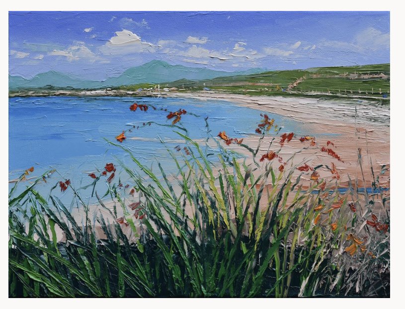 Montbretia, Galway - a signed, limited edition print by the artist @colinbcarruthers paperbackprints.com/products/montb… #freeukshipping #buyartwork #flowerstagram #montbretia #seascapelovers #ireland #irishartist #gicleeprint #galway #galwayireland #galwaytourism #visitgalway