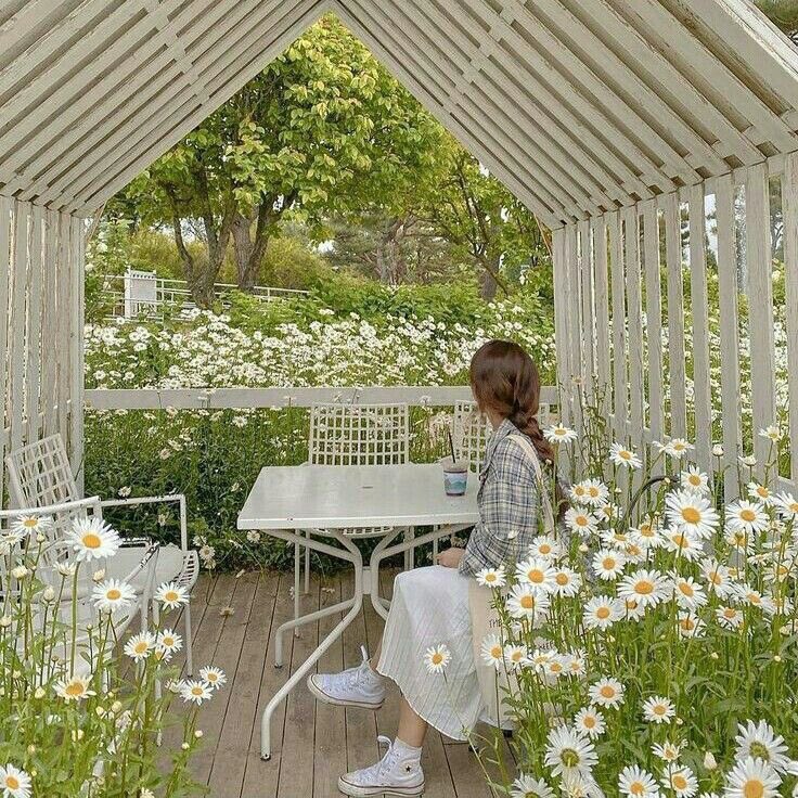 softdeIicacy's tweet photo. a peaceful life. https://t.co/SVPOC7T6pc