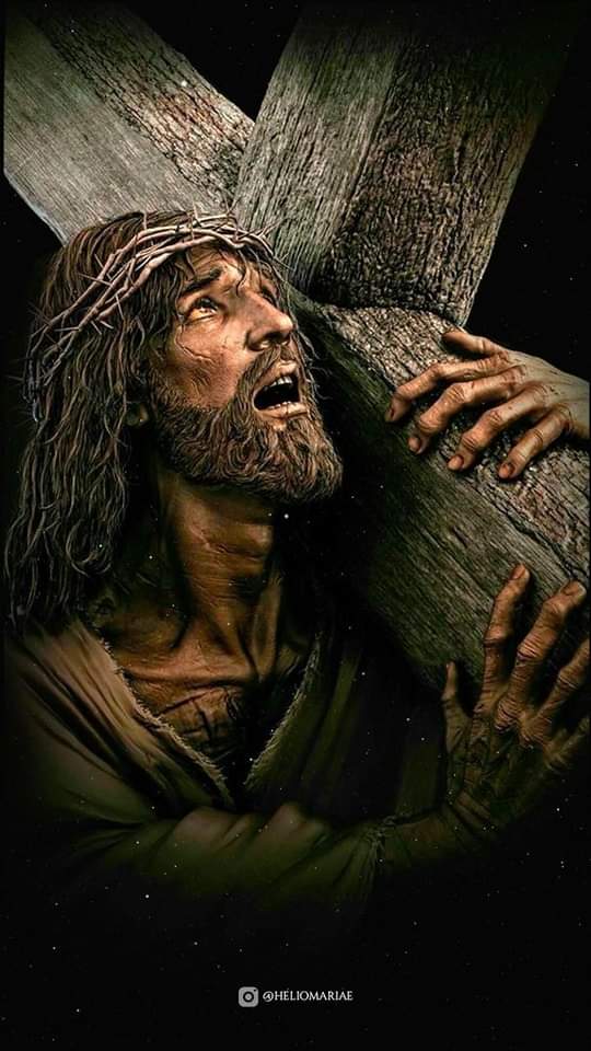 MinaEmaad's tweet photo. اجعلني مستحق كل هذا الثمن المدفوع لأجلي ياسيدي ..🙏♥ https://t.co/vdwEDu9bTV