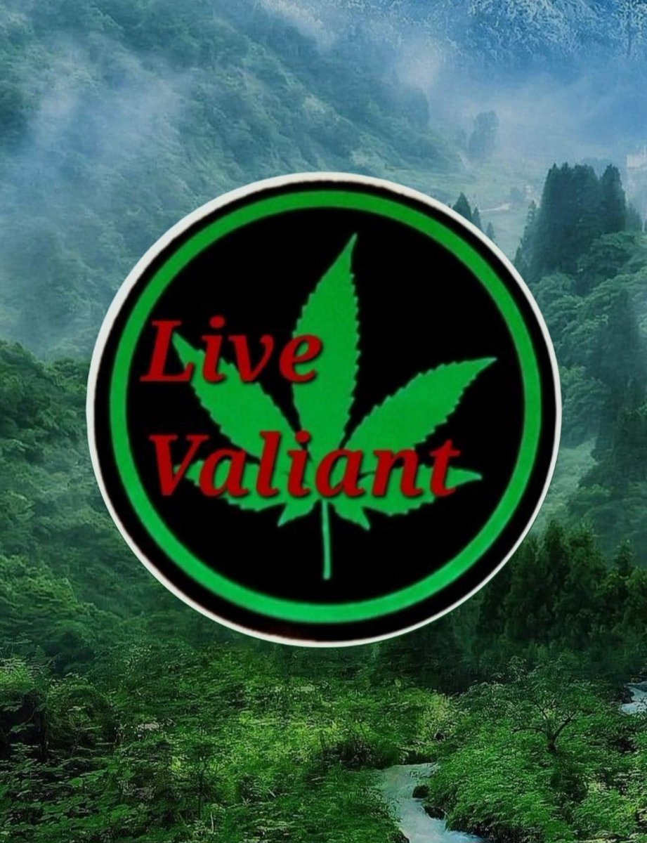 LvValiant's tweet photo. Fuk it's Monday----😪
      
                        ⬇️

----  puffs some ganj🔥💚💚

                        ⬇️

Monday, U ain't shit😎😀

#Cannabis is a blessing
#LiveValiant https://t.co/hcaAwJUO5B