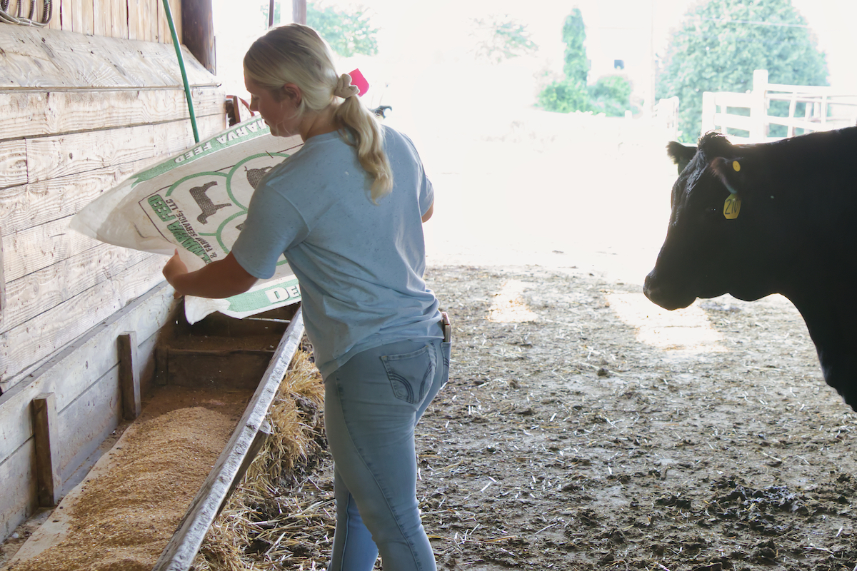 This National Farm Animals Day, we are shouting out the sheep, cattle, and horses who call UD home! Learn all about farm animals and agriculture this Apr. 29 when <a href="/UDcanr/">UDAgNaturalResources</a> students invite the community to campus for Ag Day.