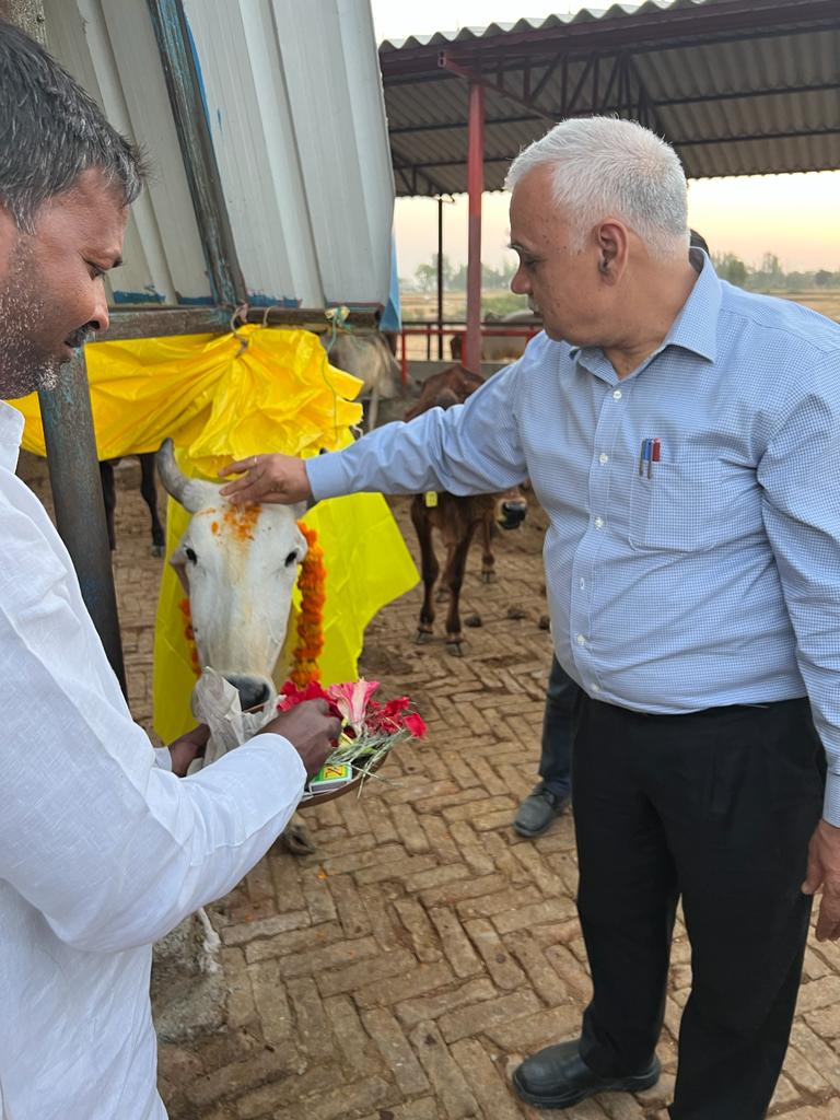 ChiefSecyUP's tweet photo. आज मैं जनपद मऊ के फतेहपुर मंडाँव ब्लॉक के कुतुबपुर धनौरा गाँव स्थित निराश्रित गौवंश गौशाला का आकस्मिक निरीक्षण किया। यहाँ गौवंश संरक्षण हेतु बेहतरीन व्यवस्थाएँ हैं। गौशाला में 56 गायें/बछड़ा रखे गए हैं। मऊ जिले में ऐसी 52 गौशालाएँ हैं, जिनमें 5,056 गोवंश संरक्षित किये गये हैं। https://t.co/9m2PlXoujA