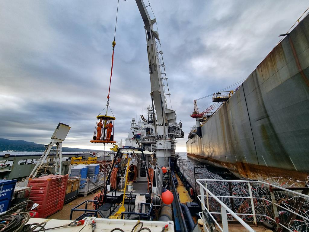 Rene Nel on Twitter: "Nog n dag verby. 2 weke om te gaan. Ek raak al dors."