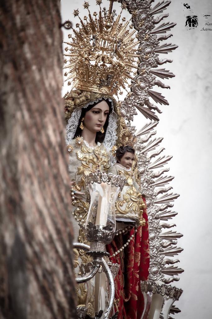 juventudcabeza's tweet photo. Es tiempo de Glorias…
En 19 días sale la madre de Santa María💐
📸 @EAeterna 
#MadredeSantaMaria #ReinayMadredelaVilla #VCabeza2023 https://t.co/Km5cZAAxaj