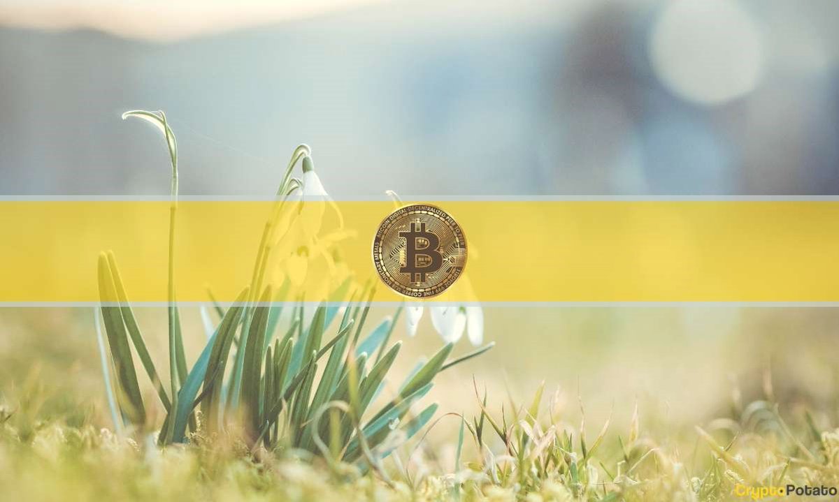 cryptocronology's tweet photo. Will The #Bitcoin Price #Rally Continue in Q2? 7 #KEYConsiderations
h (Opinion)
ttps://bit.ly/3UvJzwo
@cryptocronology #digitalcurrency #bitcoinnews #NFT #digitalasset https://t.co/yPg4IfU3yR
