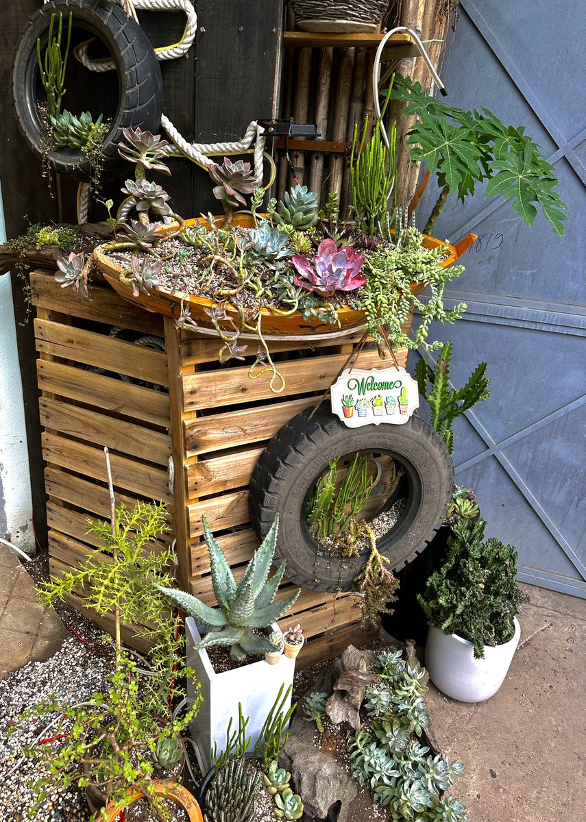 Đính chính lại với bà con
Long không có bán đồ nha 
Đừng hỏi Long mấy cái gì liên quan đến ice 

Long bán sen đá , cũng đá mà đá khác nh