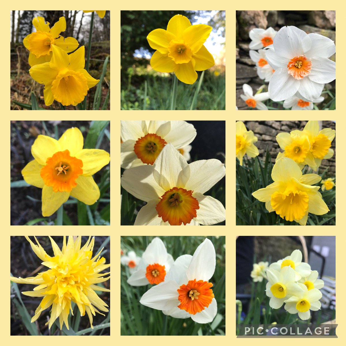 Spring has well and truly sprung in the Lakes 🥰
