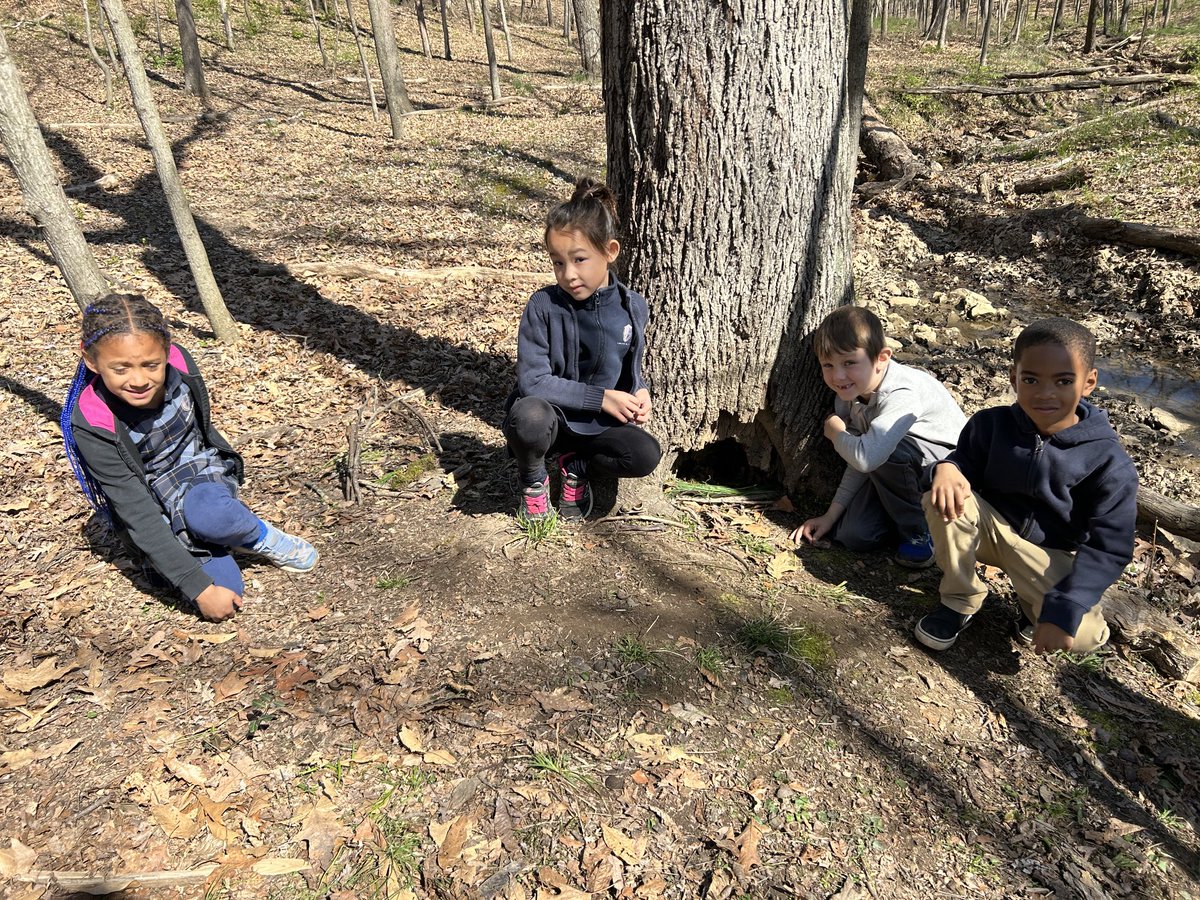 PrinOutdoorEd's tweet photo. First graders @PrincipiaSchool practiced their yearlong character theme, SOLVING PROBLEMS TOGETHER, by building shelters for small, fictitious creatures called, "Woodoohoos!"

#handsonlearning
#outdooreducation
#outdoorlearning https://t.co/4JnaHtAz8t
