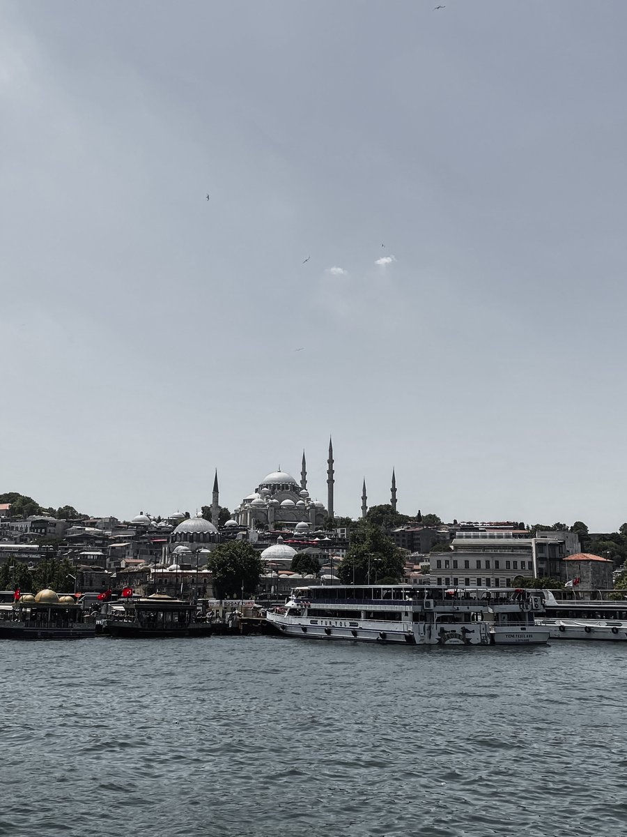 Enjoying amazing views from ferries that cost less than 1 USD 🤯

#turkeytravel #turkey #travel #ferryride