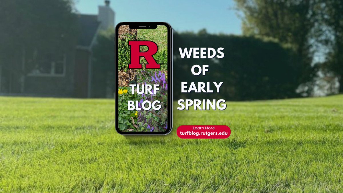 NJ Turfgrass Assoc (@njta_turfgrass) on Twitter photo Have you checked out Rutgers latest Turf Blog?
It's a good one!
turfblog.rutgers.edu/?p=1408
<a href="/RUturfCenter/">Rutgers Turfgrass</a> Have you checked out Rutgers latest Turf Blog?
It's a good one!
turfblog.rutgers.edu/?p=1408
<a href="/RUturfCenter/">Rutgers Turfgrass</a>