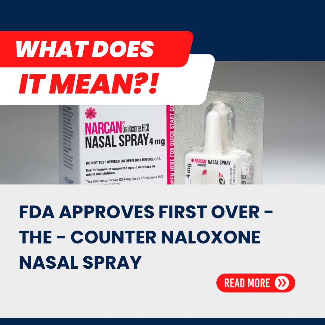 Albertus Project tweet media