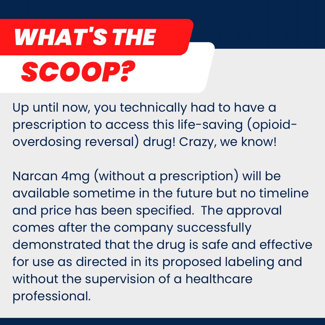 Albertus Project tweet media